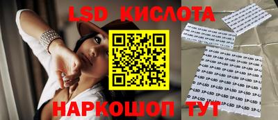 тгк Можга
