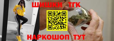 тгк Можга
