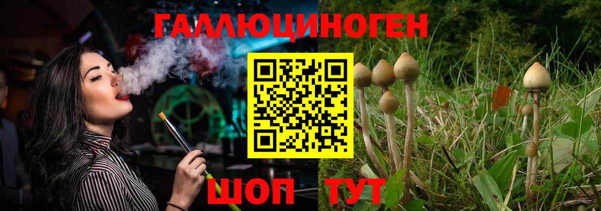 Псилоцибиновые грибы ЛСД Чебаркуль
